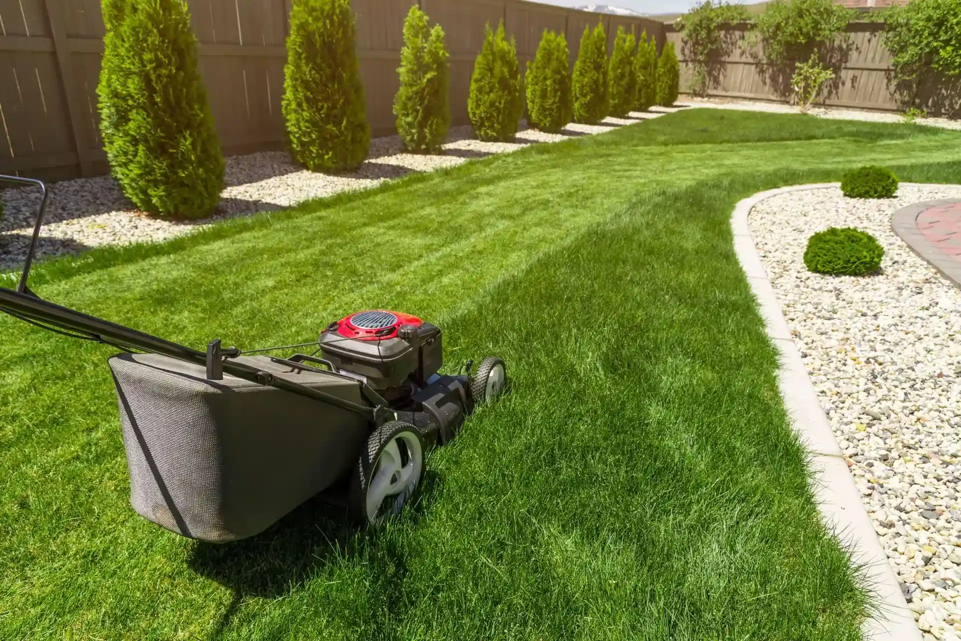Lawn mowing and yard cleanup in Morrison, IL
